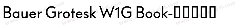 Bauer Grotesk W1G Book字体转换
